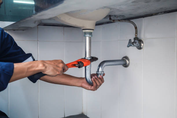 Best Local Plumber Services  in Napervle, IL