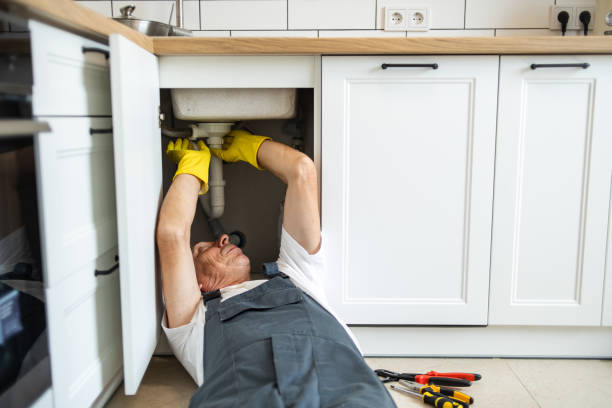 Best Shower Repair Services  in Napervle, IL